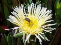 /album/fotogaleria-girona/a11-640x480-jpg/